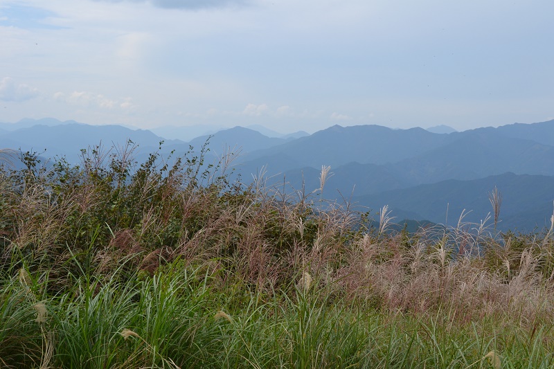 ゆとりすとパークおおとよは四国山脈を眺めれる